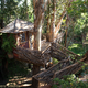 Illustration for article titled Bellavista's Biodigesting Treehouses Are Endor on Earth